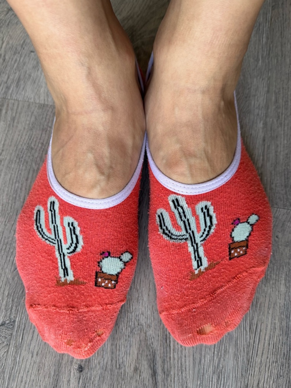 Vans Cactus No Show Socks